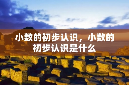小数的初步认识，小数的初步认识是什么