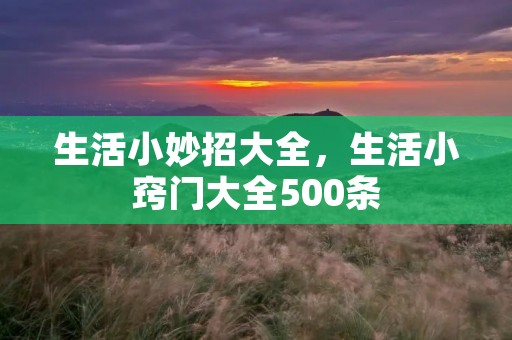 生活小妙招大全，生活小窍门大全500条