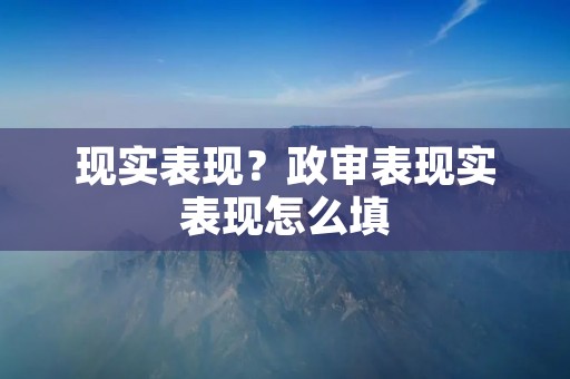 现实表现?政审表现实表现怎么填