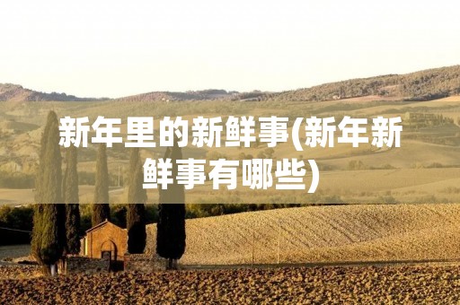 新年里的新鲜事(新年新鲜事有哪些)
