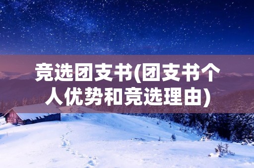 竞选团支书(团支书个人优势和竞选理由)