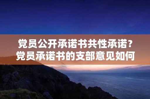 党员公开承诺书共性承诺？党员承诺书的支部意见如何写