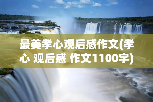 最美孝心观后感作文(孝心 观后感 作文1100字)