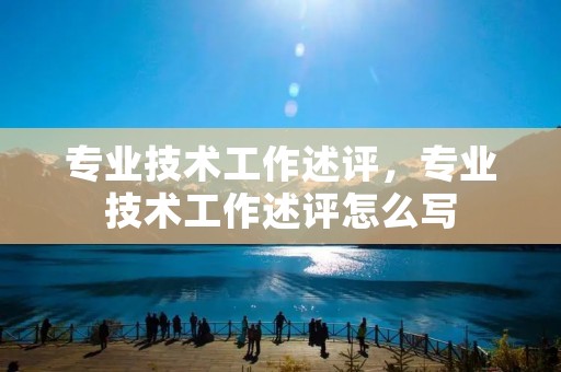 专业技术工作述评，专业技术工作述评怎么写