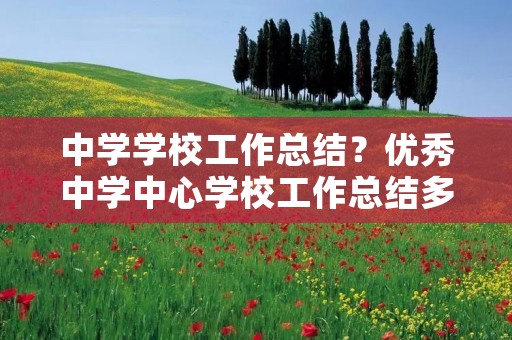 中学学校工作总结?优秀中学中心学校工作总结多篇