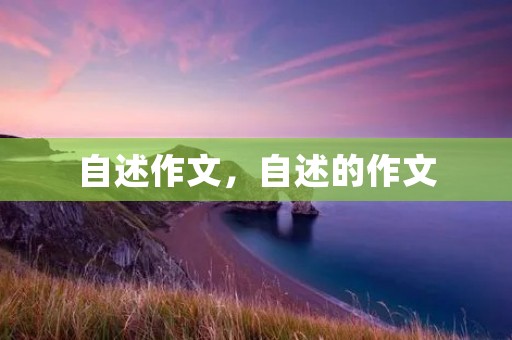 自述作文，自述的作文