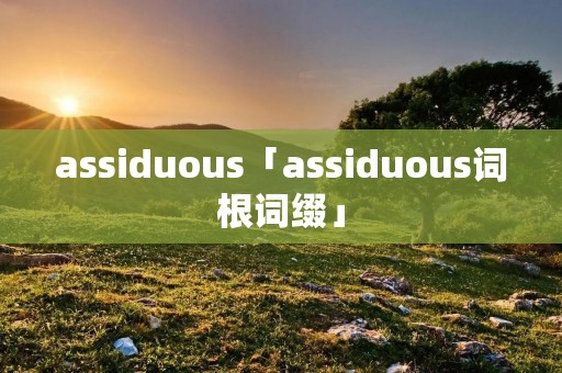 assiduous「assiduous词根词缀」
