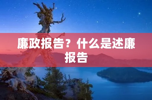 廉政报告?什么是述廉报告