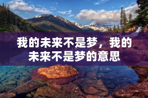 我的未来不是梦,我的未来不是梦的意思