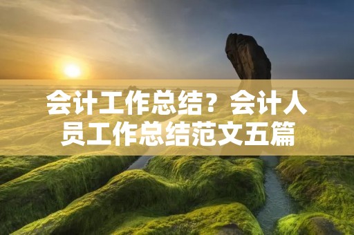 会计工作总结?会计人员工作总结范文五篇