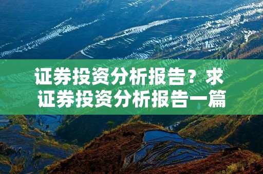 证券投资分析报告?求 证券投资分析报告一篇