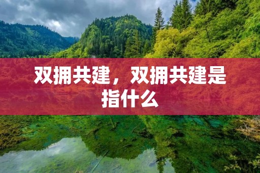 双拥共建,双拥共建是指什么
