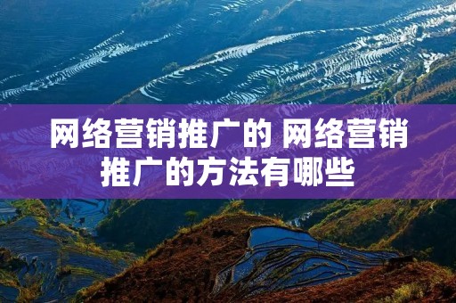 网络营销推广的 网络营销推广的方法有哪些