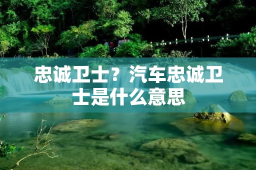 忠诚卫士?汽车忠诚卫士是什么意思