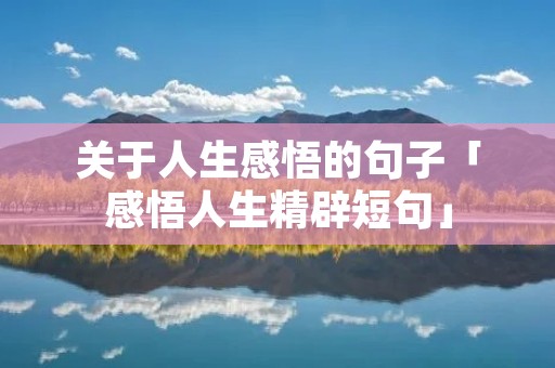 关于人生感悟的句子「感悟人生精辟短句」