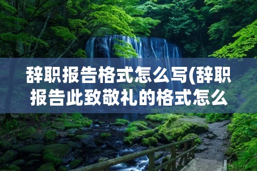 辞职报告格式怎么写(辞职报告此致敬礼的格式怎么写)