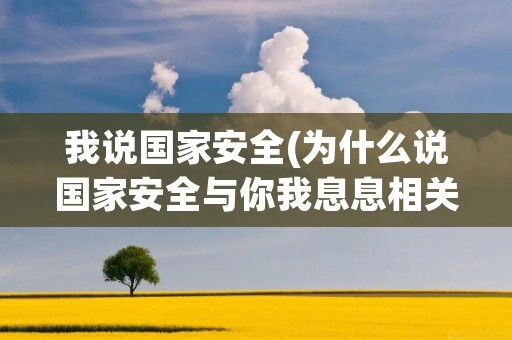 我说国家安全(为什么说国家安全与你我息息相关)