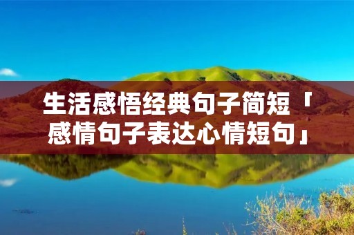 生活感悟经典句子简短「感情句子表达心情短句」