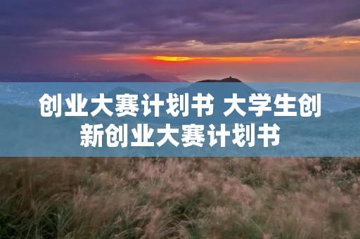 创业大赛计划书 大学生创新创业大赛计划书