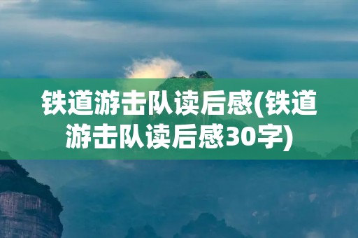 铁道游击队读后感(铁道游击队读后感30字)