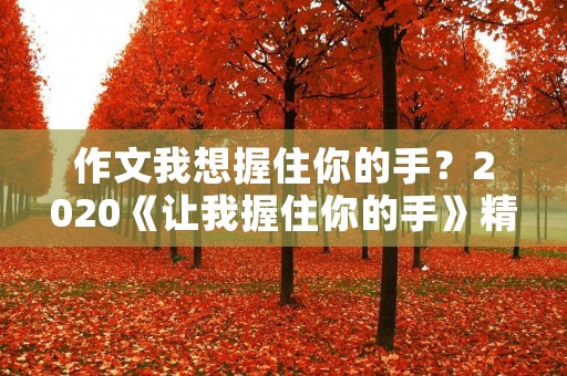作文我想握住你的手？2020《让我握住你的手》精选5篇作文