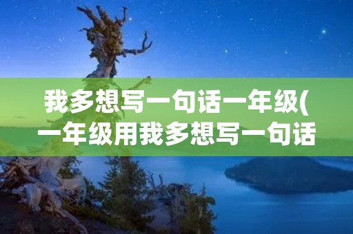 我多想写一句话一年级(一年级用我多想写一句话是什么)