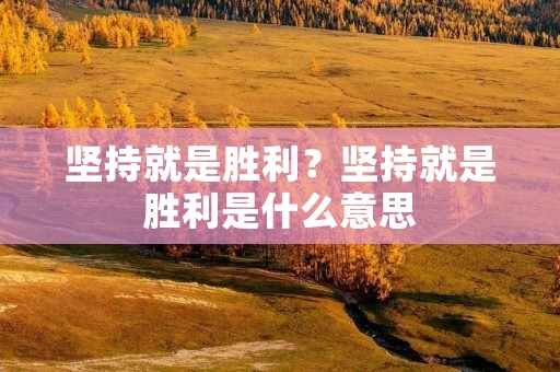 坚持就是胜利？坚持就是胜利是什么意思