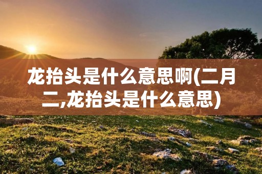 龙抬头是什么意思啊(二月二,龙抬头是什么意思)