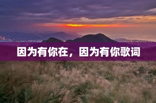 因为有你在,因为有你歌词