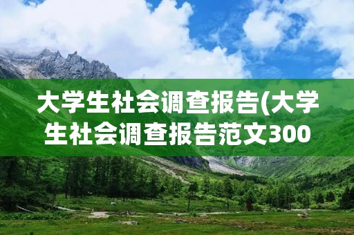 大学生社会调查报告(大学生社会调查报告范文3000字)
