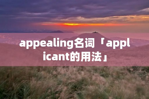 appealing名词「applicant的用法」