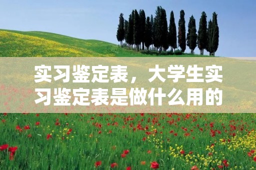 实习鉴定表,大学生实习鉴定表是做什么用的