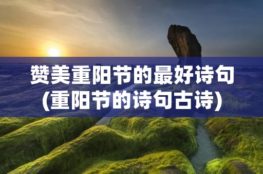 赞美重阳节的最好诗句(重阳节的诗句古诗) 赞美重阳节的最好诗句(重阳节的诗句古诗)