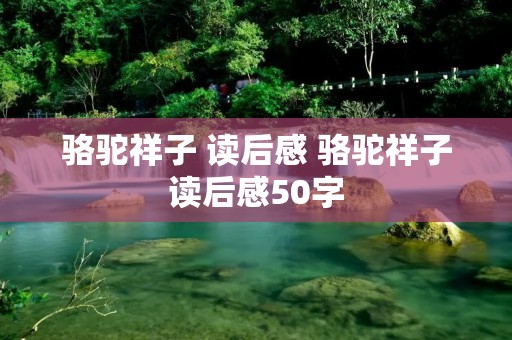 骆驼祥子 读后感 骆驼祥子读后感50字