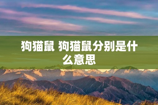 狗猫鼠 狗猫鼠分别是什么意思
