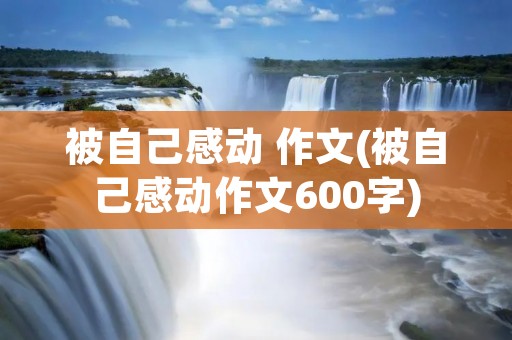 被自己感动 作文(被自己感动作文600字)