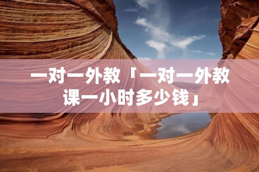 一对一外教「一对一外教课一小时多少钱」
