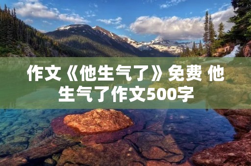 作文《他生气了》免费 他生气了作文500字