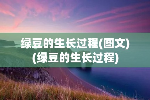 绿豆的生长过程(图文)(绿豆的生长过程)