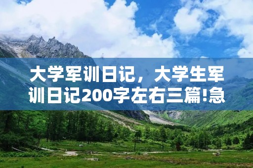 大学军训日记,大学生军训日记200字左右三篇!急!