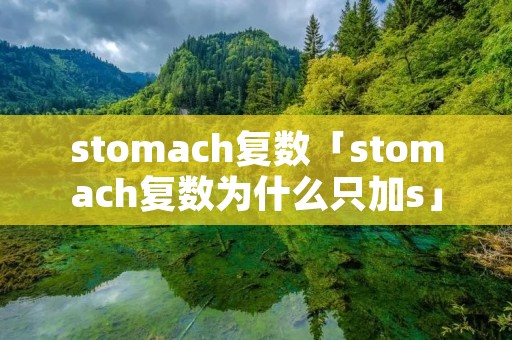 stomach复数「stomach复数为什么只加s」