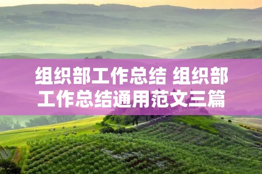 组织部工作总结 组织部工作总结通用范文三篇