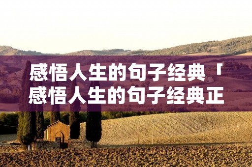 感悟人生的句子经典「感悟人生的句子经典正能量短句精辟」