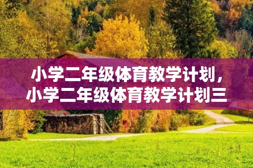 小学二年级体育教学计划,小学二年级体育教学计划三篇