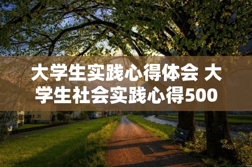 大学生实践心得体会 大学生社会实践心得500字 大学生实践心得体会 大学生社会实践心得500字