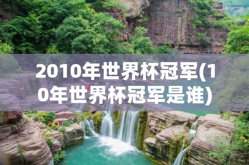 2010年世界杯冠军(10年世界杯冠军是谁) 2010年世界杯冠军(10年世界杯冠军是谁)