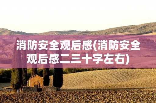 消防安全观后感(消防安全观后感二三十字左右)