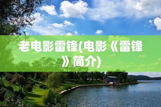 老电影雷锋(电影《雷锋》简介)