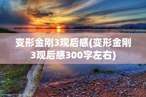 变形金刚3观后感(变形金刚3观后感300字左右)