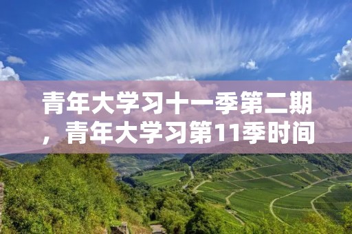 青年大学习十一季第二期,青年大学习第11季时间
